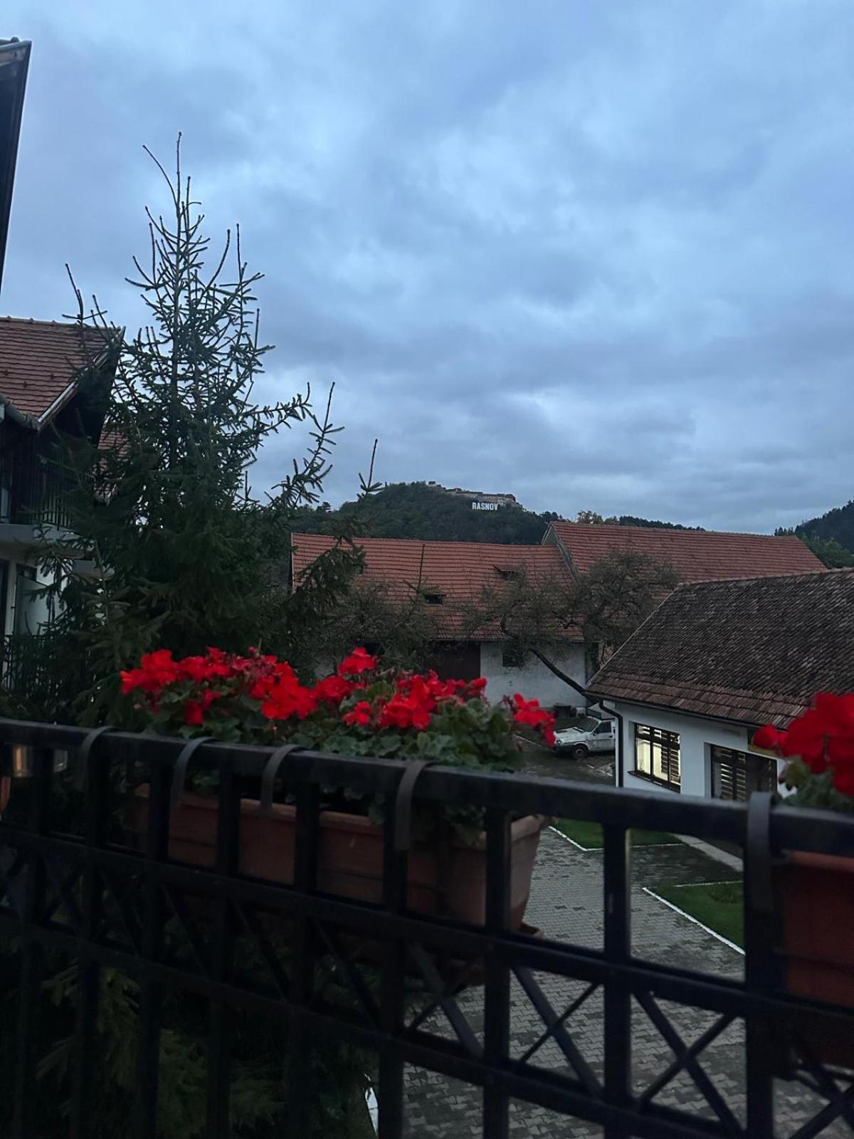 Pensiunea Casa Saxonia Rasnov Exterior foto