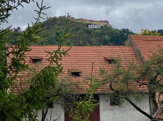 Pensiunea Casa Saxonia Rasnov Exterior foto