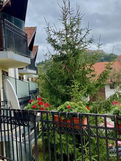 Pensiunea Casa Saxonia Rasnov Exterior foto